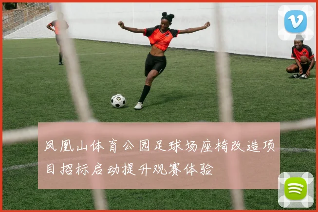 凤凰山体育公园足球场座椅改造项目招标启动提升观赛体验