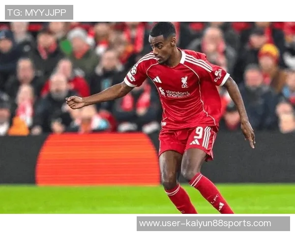 去年出场15场以上却未进球的前锋身价排行榜萨默维尔位居第一